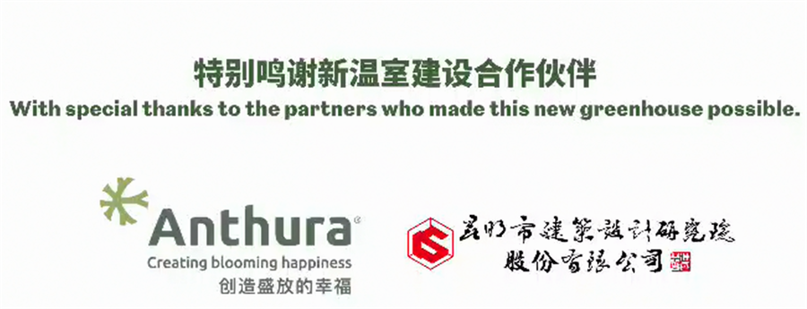 5c8785ea-a983-456f-9404-93c9fe53ddd5.png
